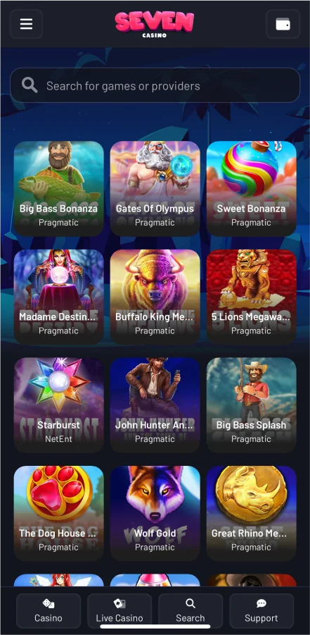 Casino slots section