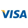 visa icon