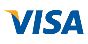 visa icon